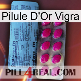 Vigra Gold Pill 35